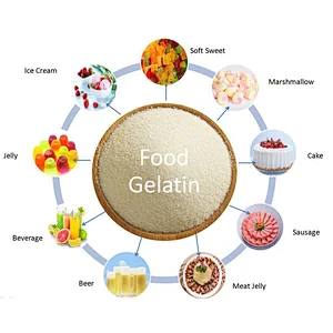 Reasonable price food grade gelatin from gelatin manufacturer for all markets