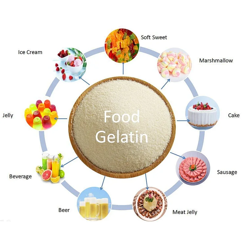 Reasonable price food grade gelatin from gelatin manufacturer for all markets